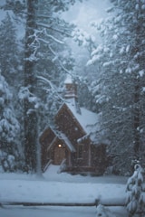 house and trees with snow