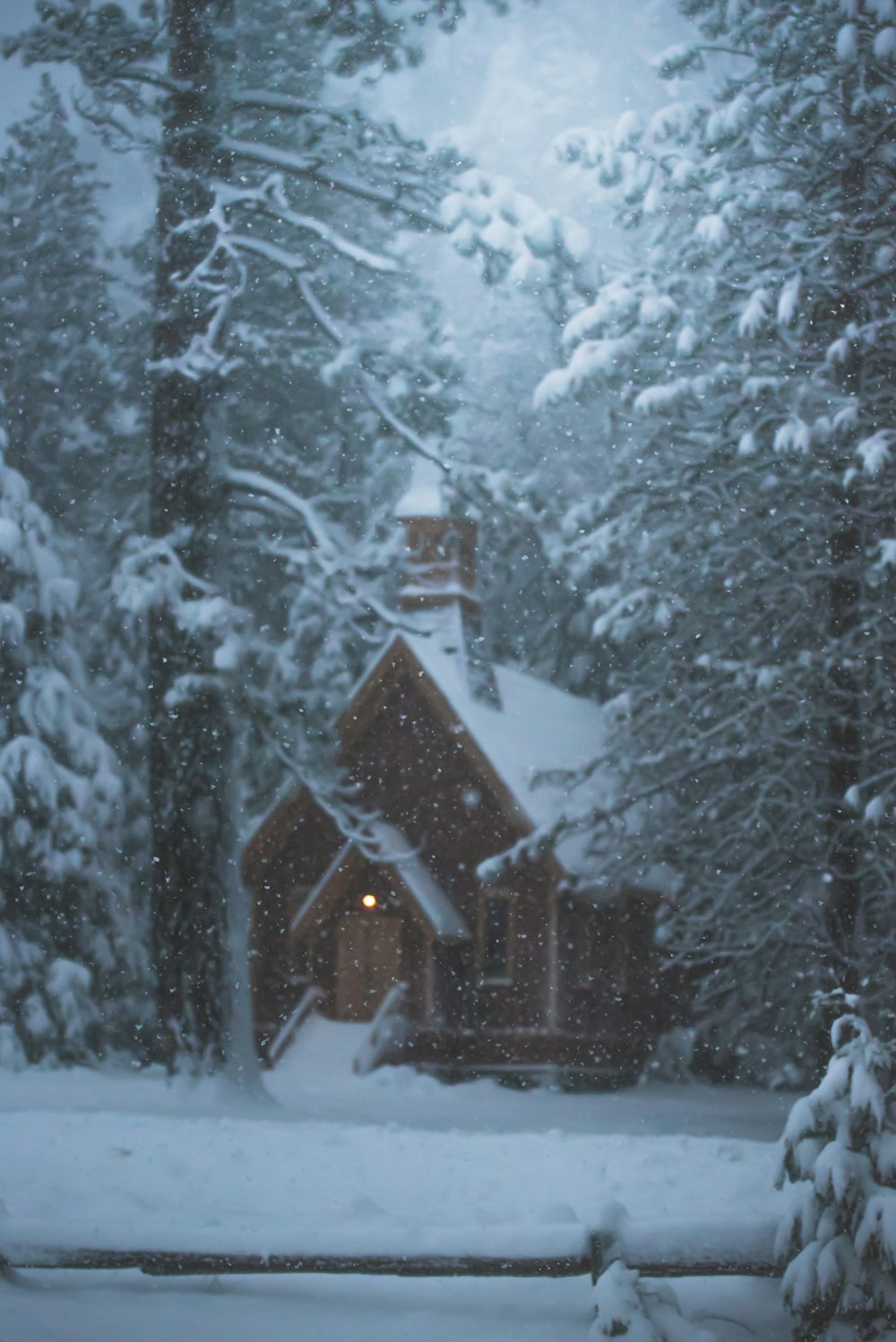 雪が降る家と木々