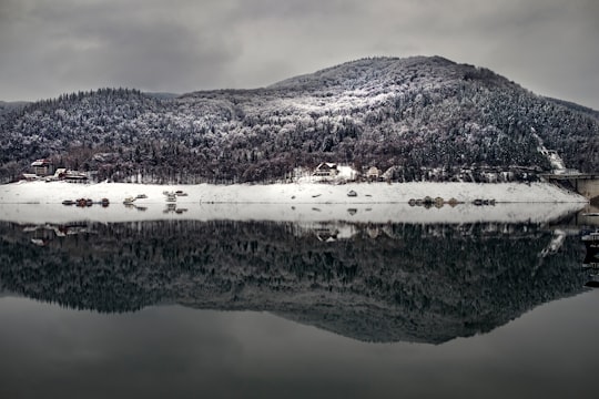 landscape photography of mountain with body of water at bottom in Lake Izvorul Muntelui Romania