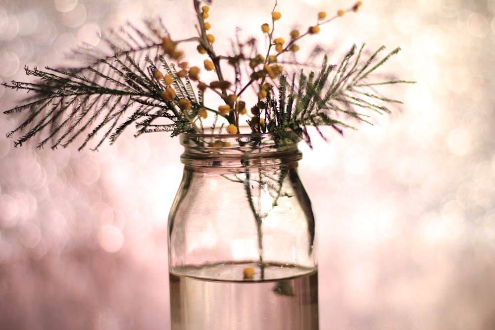 fotografia di profondità della bottiglia di vetro trasparente con i fiori gialli