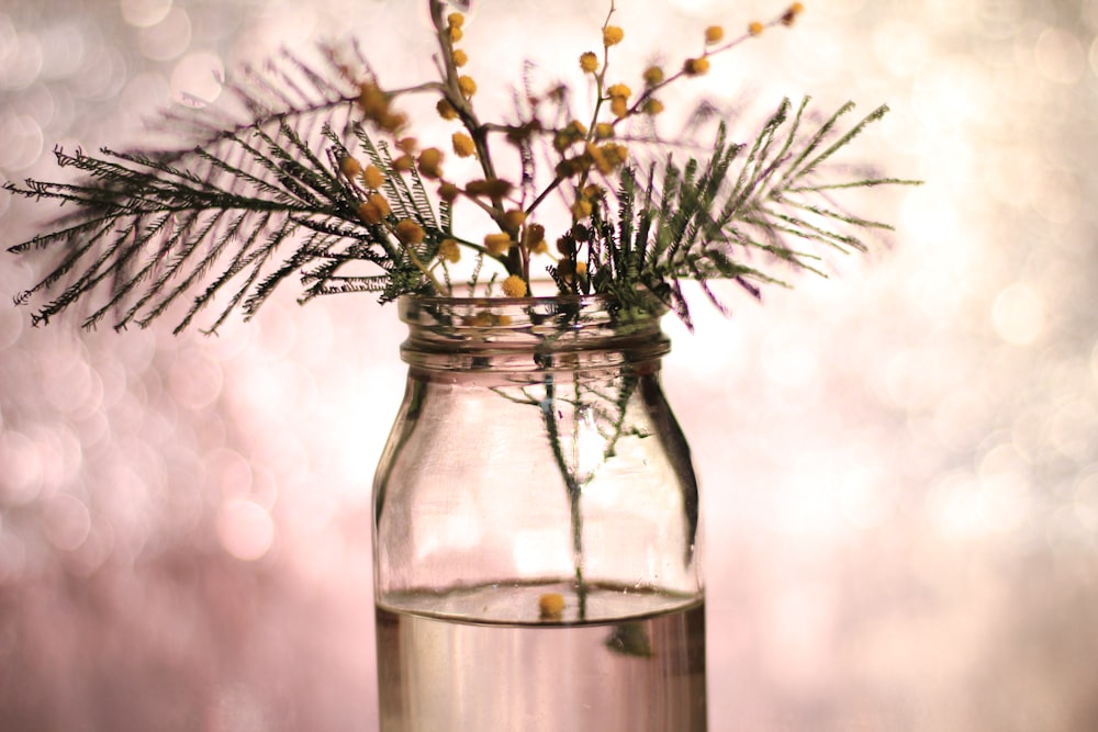 Photographie de profondeur d’une bouteille en verre clair avec des fleurs jaunes