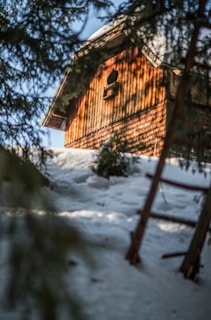 brown wooden house near trees during daytime