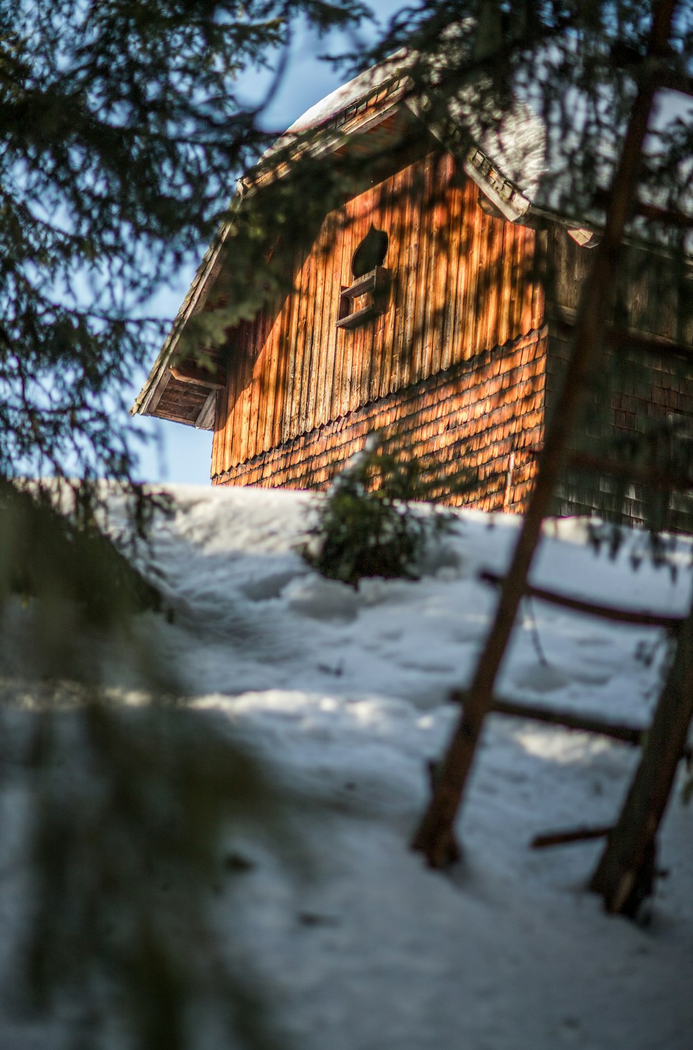 brown wooden house near trees during daytime