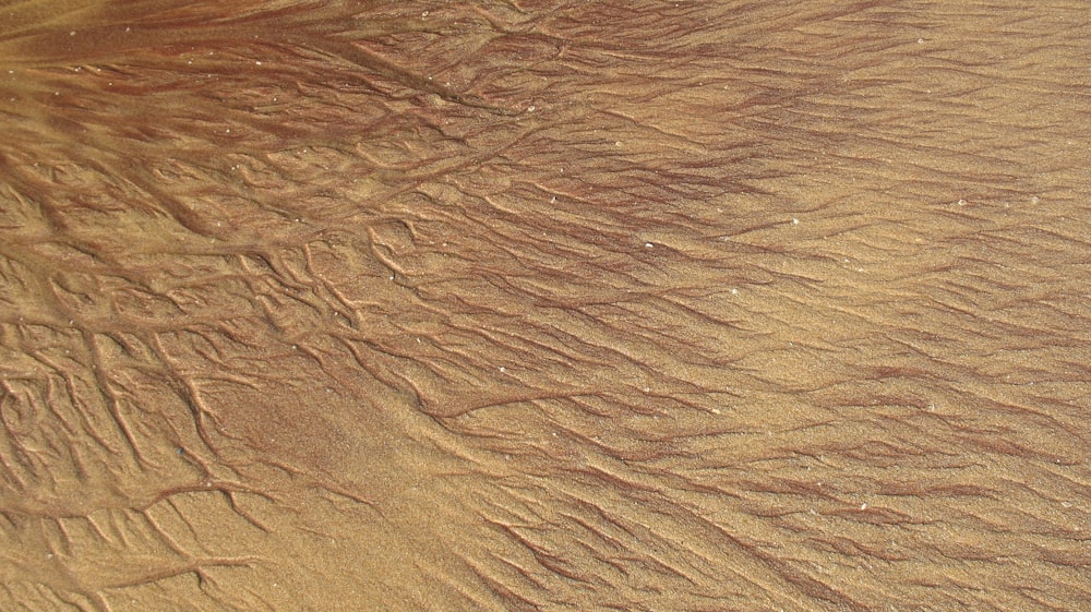 Dune du désert