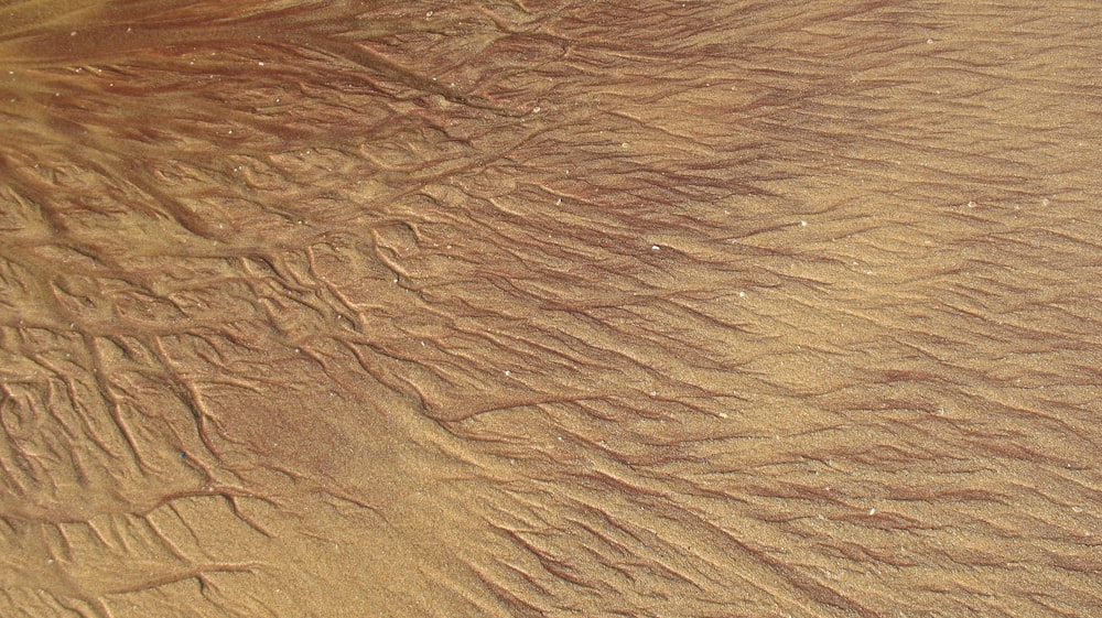 사막의 모래 언덕