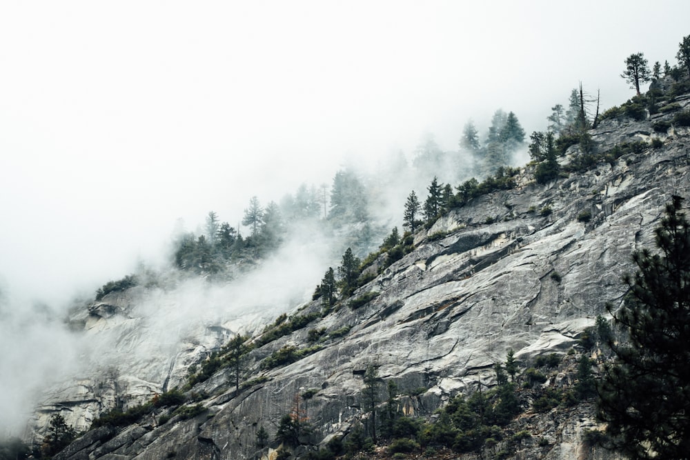 mountain with fog