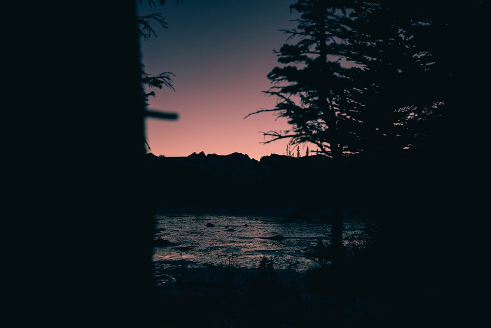 silhouette of trees near body of water during golden hour