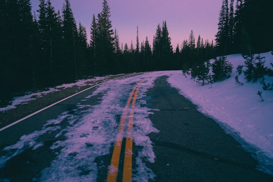 road with snow surrounded of trees in Red Rock Lake United States