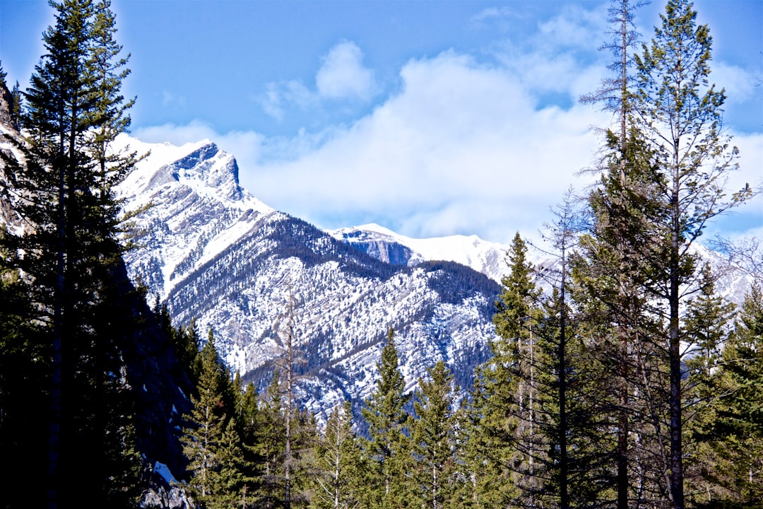Mountain range photo spot Heart Creek Trail Banff,