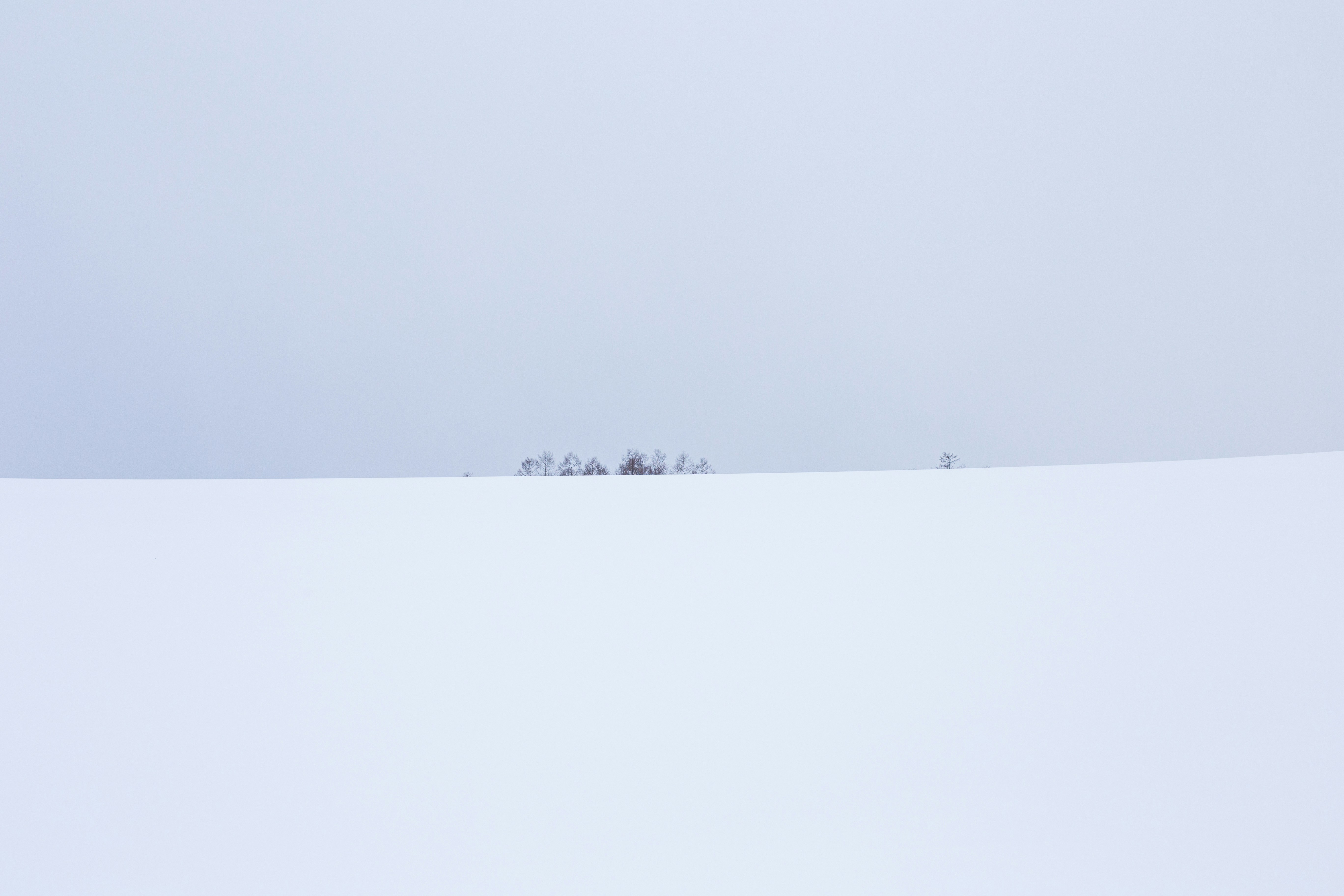 好朋友之间友谊的句子