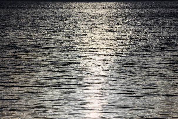 Ripples on a tranquil sea reflecting the muted glow of dawn’s first light.
