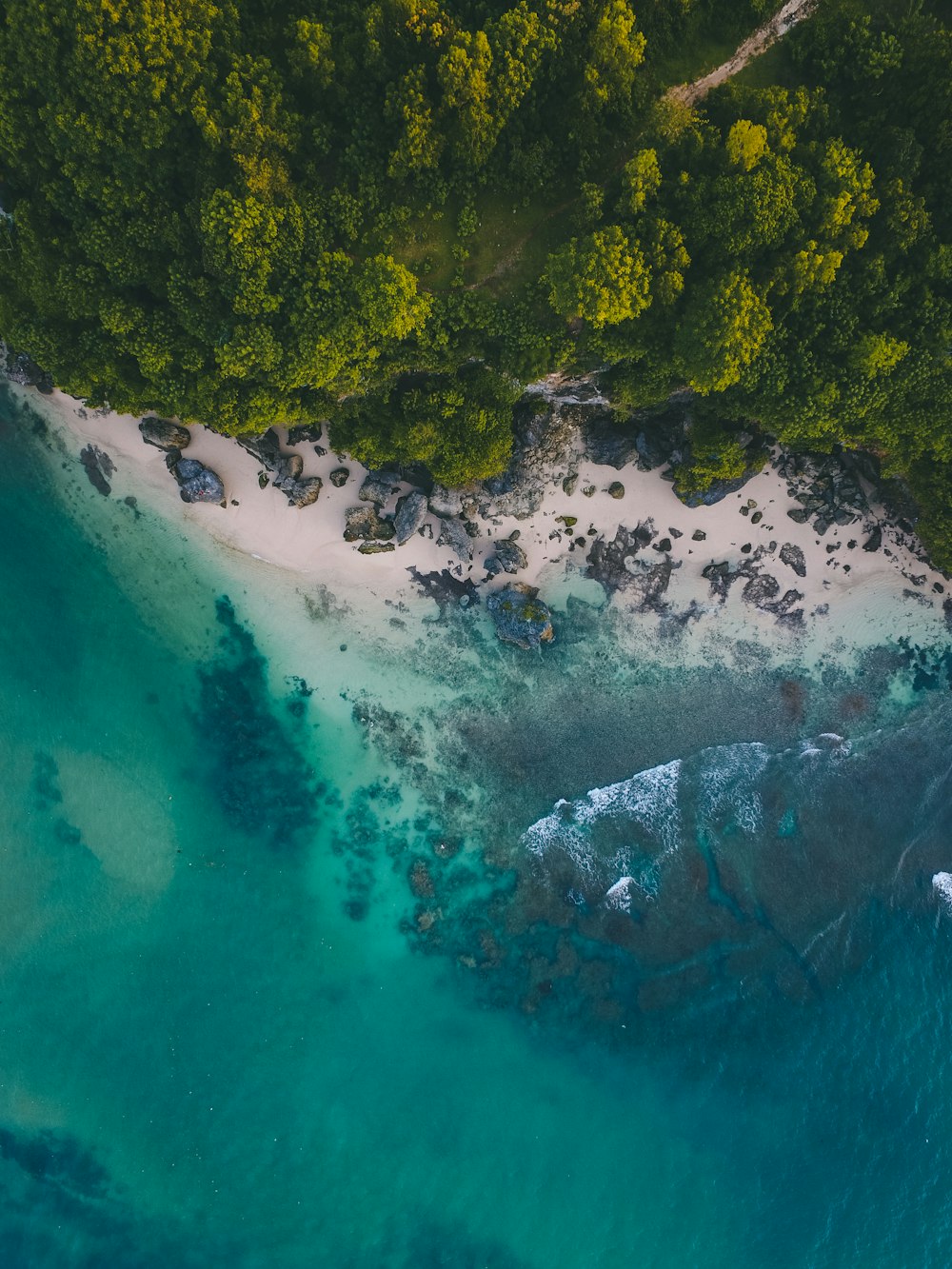 aerial shot of seashore