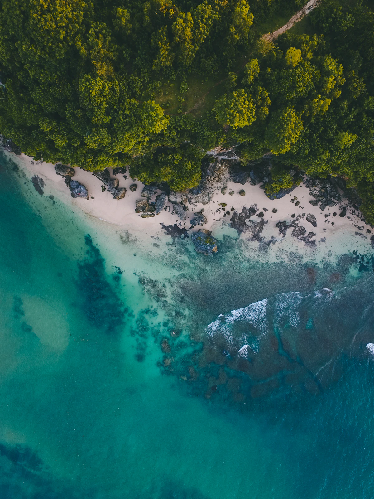 Uluwatu Coastal Cliffs & Hidden Surf Breaks Guided Tour