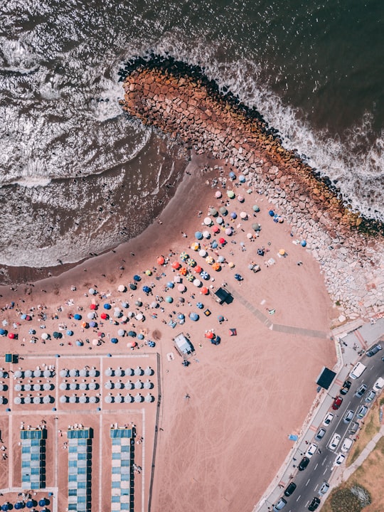 aerial photography of people near ocean in Mar del Plata Argentina
