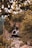 woman sitting on mountain cliff