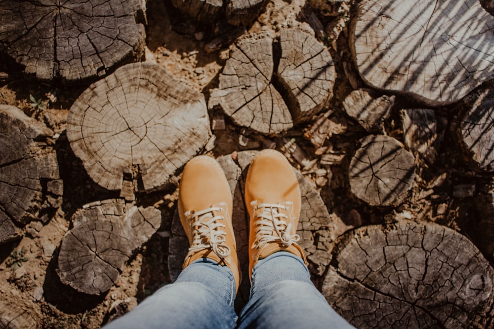 person standing at log stump