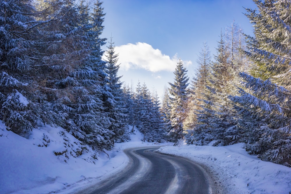 road on snow field