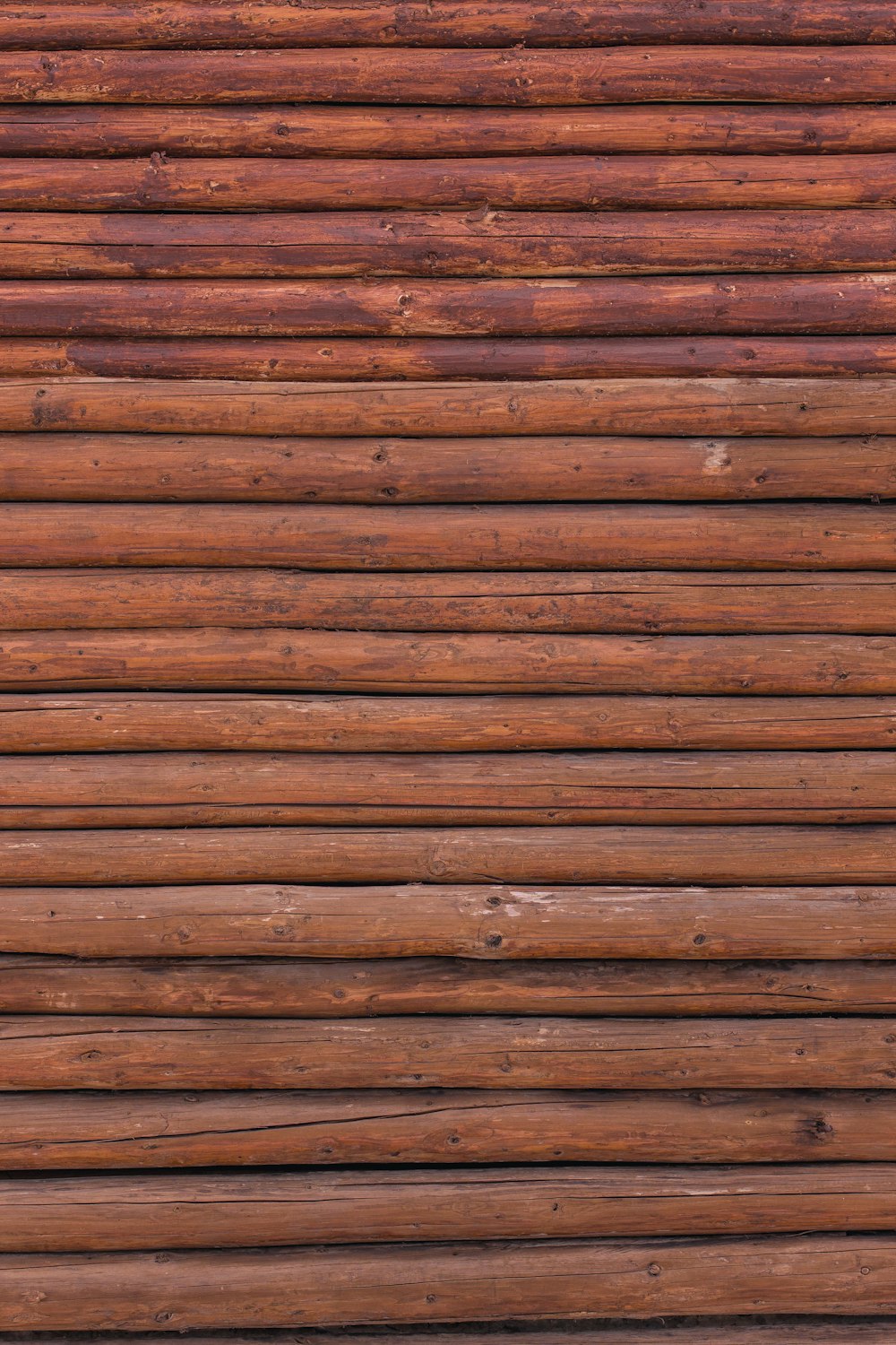 Foto de primer plano de la pared de bambú