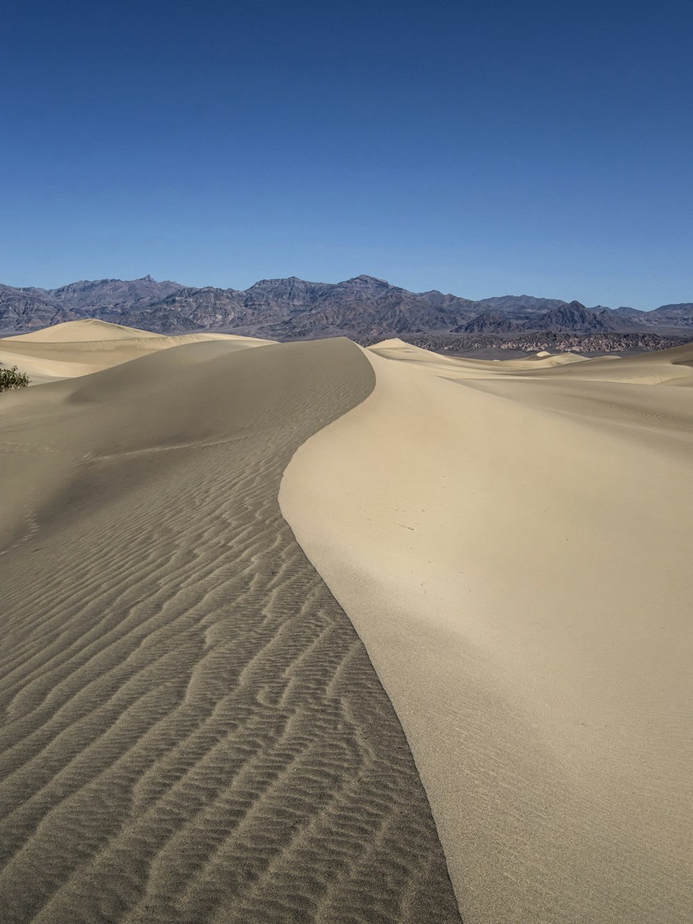 brown sand field