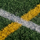 lacrosse, Oak Knoll, yellow and white line mark on green grasses