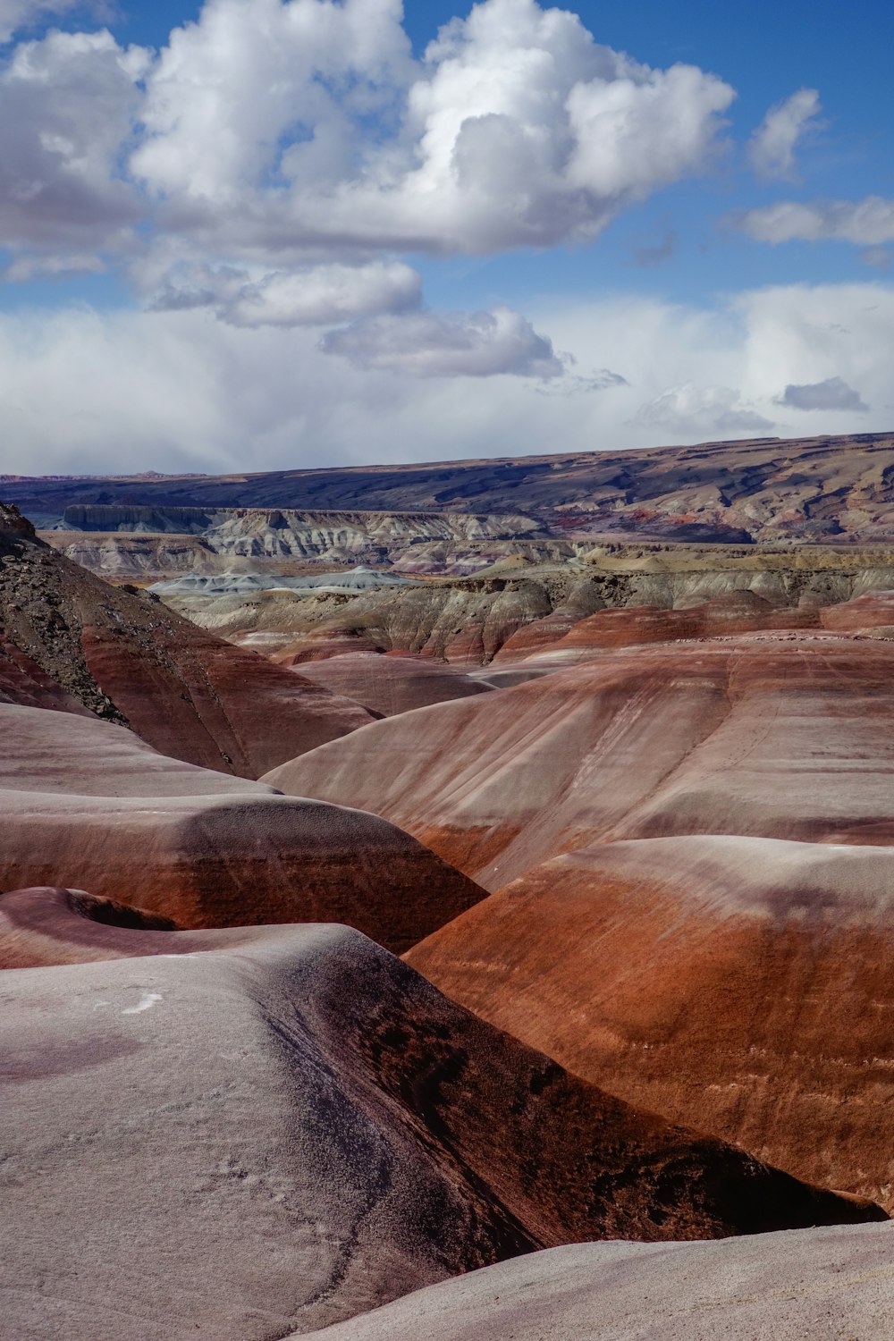 landscape photography of canyon