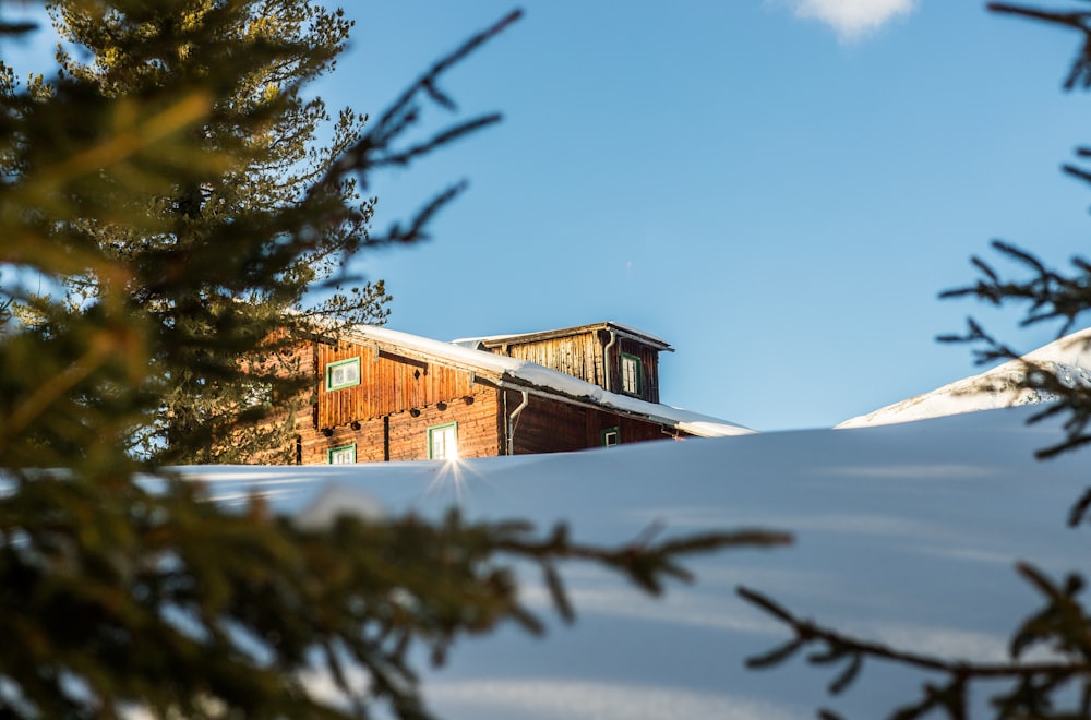 photograph of brown shed during winter