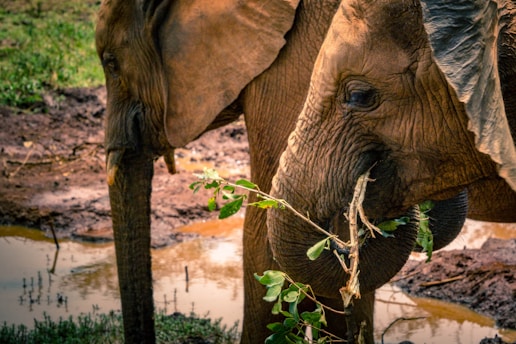 kenya travel itinerary