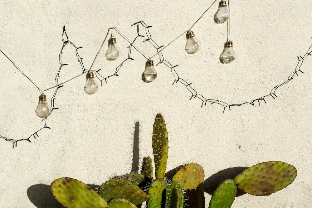 light bulbs hanging on top of cactus