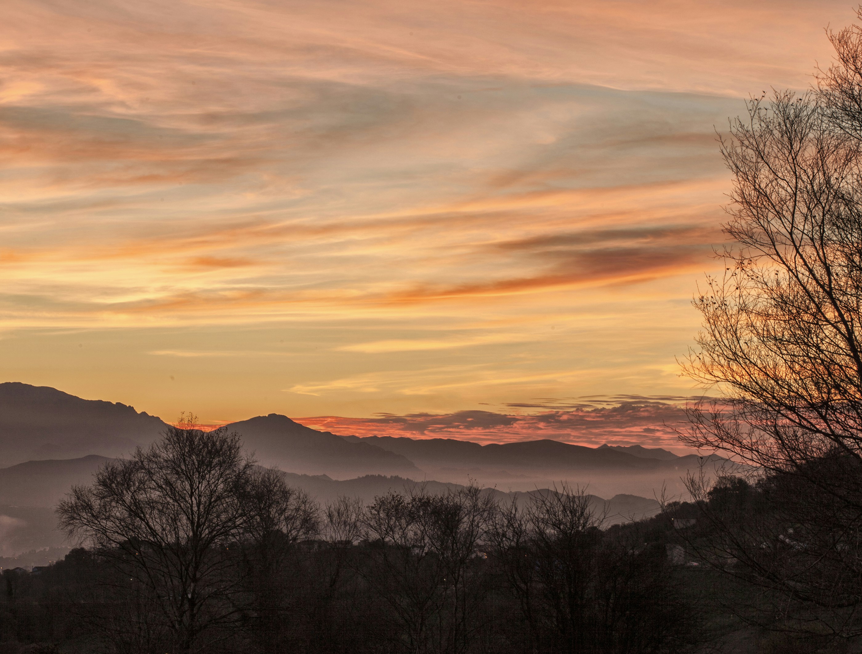 Dolore da lesione spinale, arriva la fibronectina