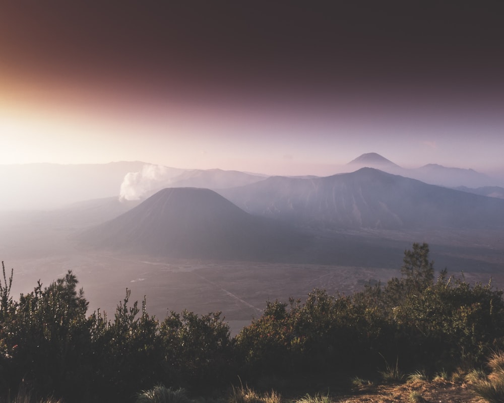 mountains near trees