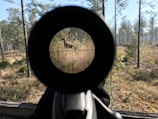 A forest scene viewed through a rifle scope, with a deer visibly present within the crosshairs. Tall trees and mixed vegetation form the backdrop under a clear blue sky.