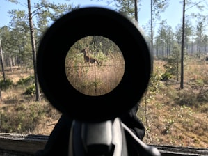 A forest scene viewed through a rifle scope, with a deer visibly present within the crosshairs. Tall trees and mixed vegetation form the backdrop under a clear blue sky.