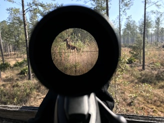 A forest scene viewed through a rifle scope, with a deer visibly present within the crosshairs. Tall trees and mixed vegetation form the backdrop under a clear blue sky.