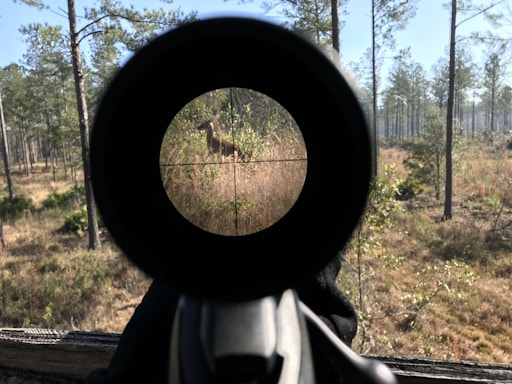 A forest scene viewed through a rifle scope, with a deer visibly present within the crosshairs. Tall trees and mixed vegetation form the backdrop under a clear blue sky.