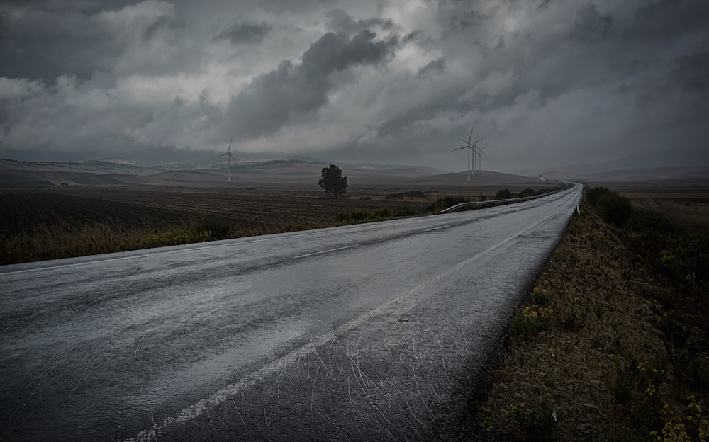 Carretera de asfalto gris entre campos de hierba verde