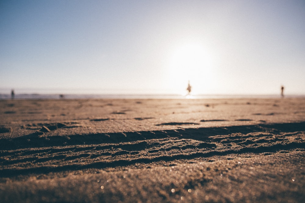 shallow focus photography of brown soil