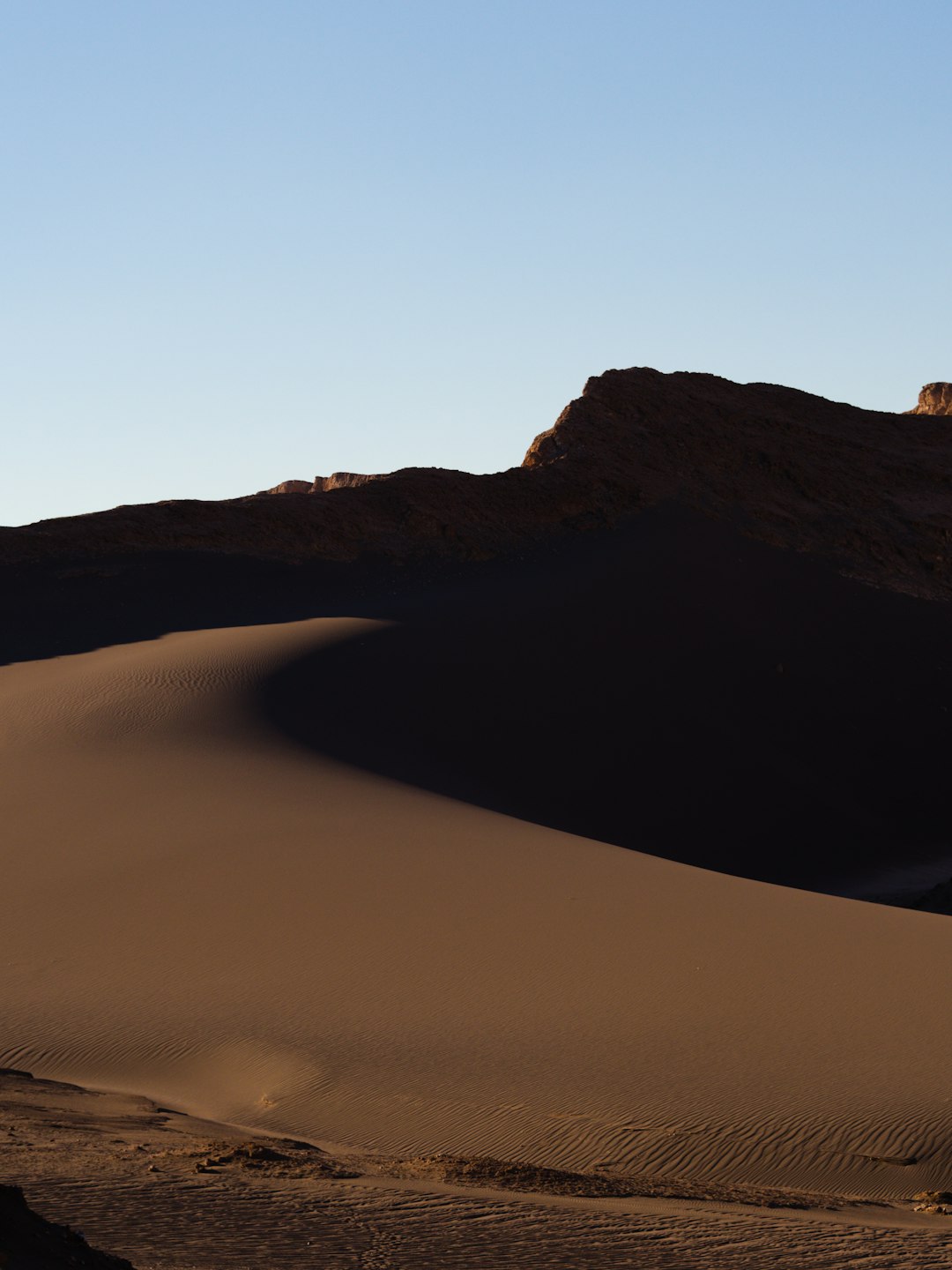 photo of brown desert during golden hour
