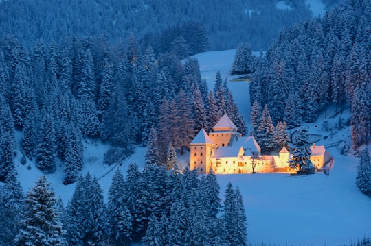 white castle surrounded by pine trees in Val Gardena Italy