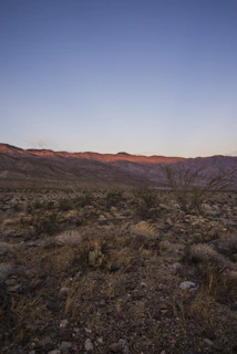 Wide shot of a desert landscape bathed in soft pastel colors of dawn.