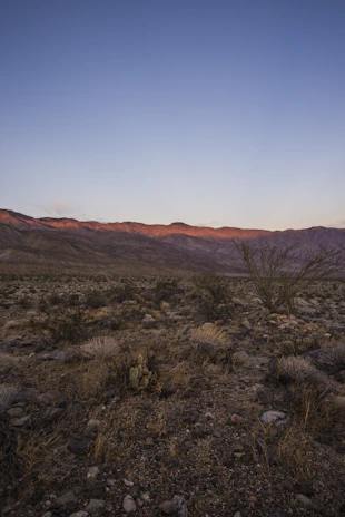Wide shot of a desert landscape bathed in soft pastel colors of dawn.