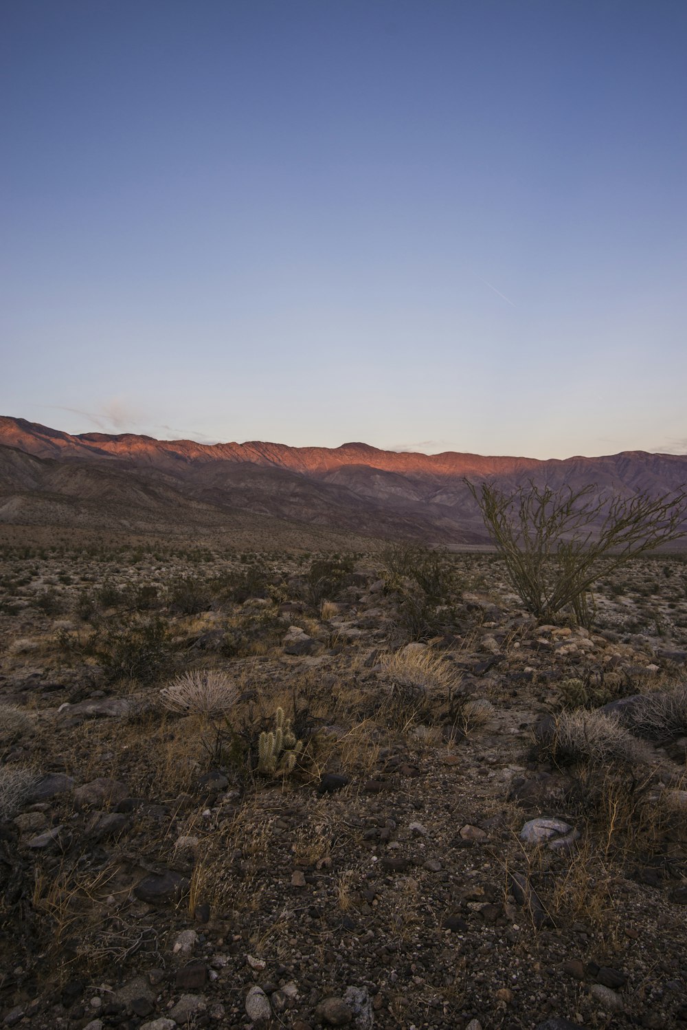 brown mountain under blue sky during daytime