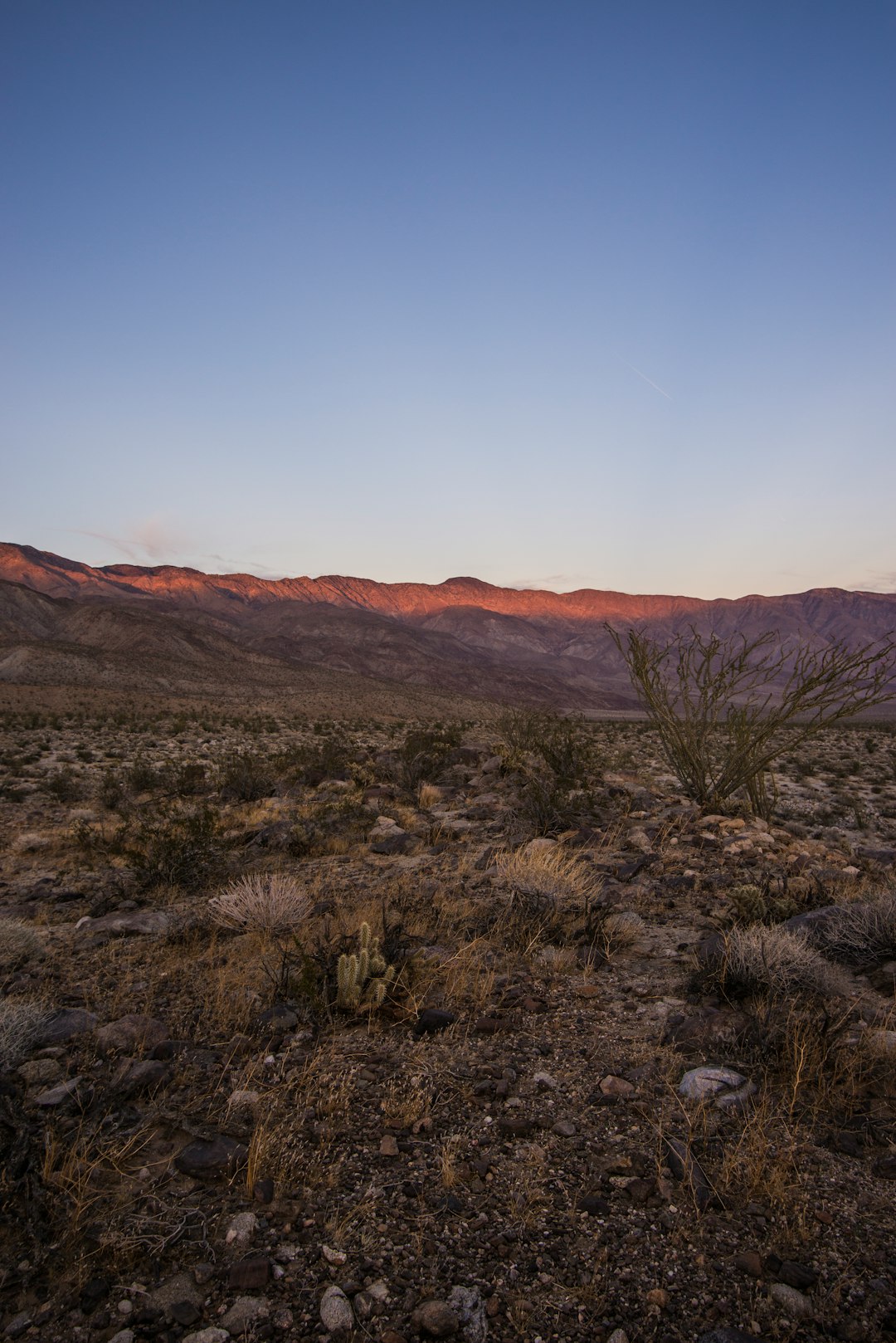 Travel Tips and Stories of Anza-Borrego Desert State Park in United States