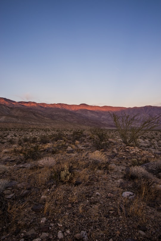 Anza-Borrego Desert State Park things to do in Plaster City
