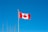 A Canadian flag with a red maple leaf on a white background, bordered by red vertical bands, is flying on a flagpole against a clear blue sky. Bare tree branches are visible at the bottom left corner.
