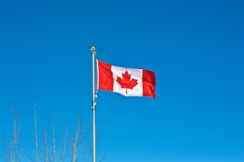 A Canadian flag with a red maple leaf on a white background, bordered by red vertical bands, is flying on a flagpole against a clear blue sky. Bare tree branches are visible at the bottom left corner.