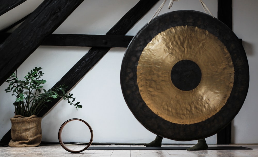 round black and brown gong beside potted green leafed palnt