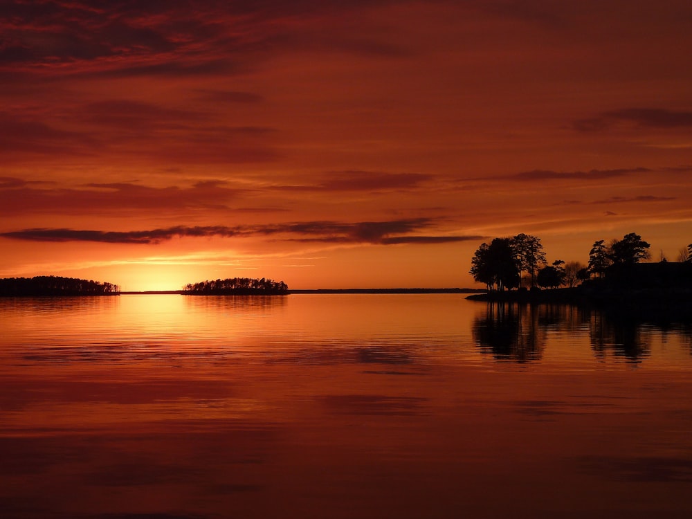 mirror photography of silhouette of trees during sunset