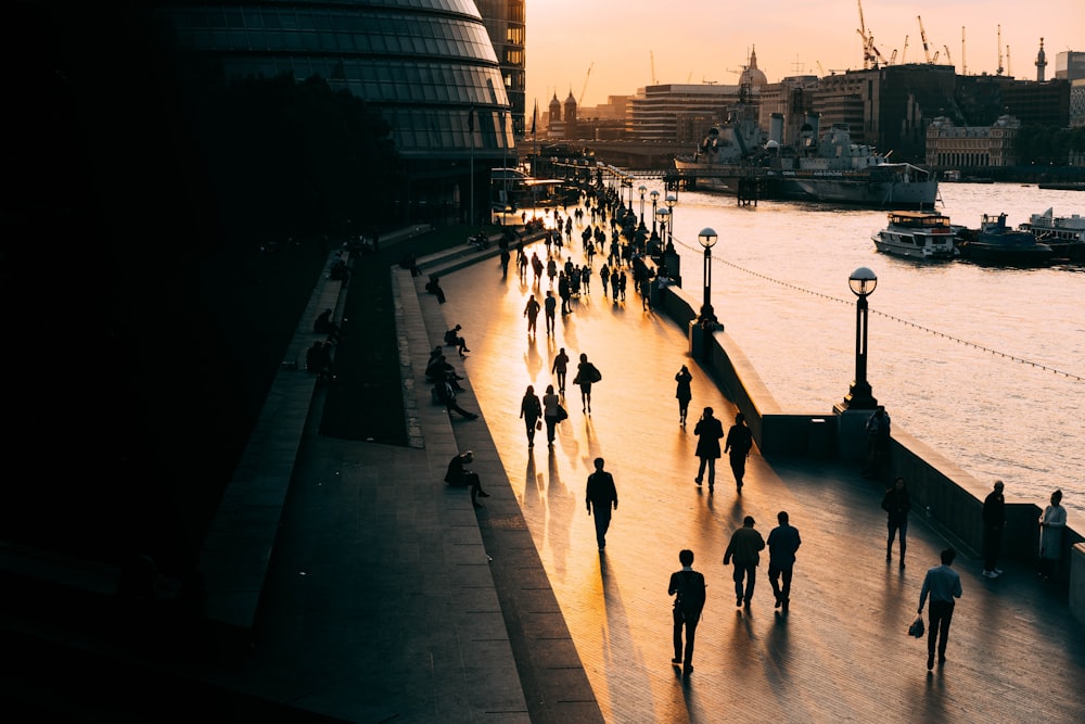 people walking on road near body of water