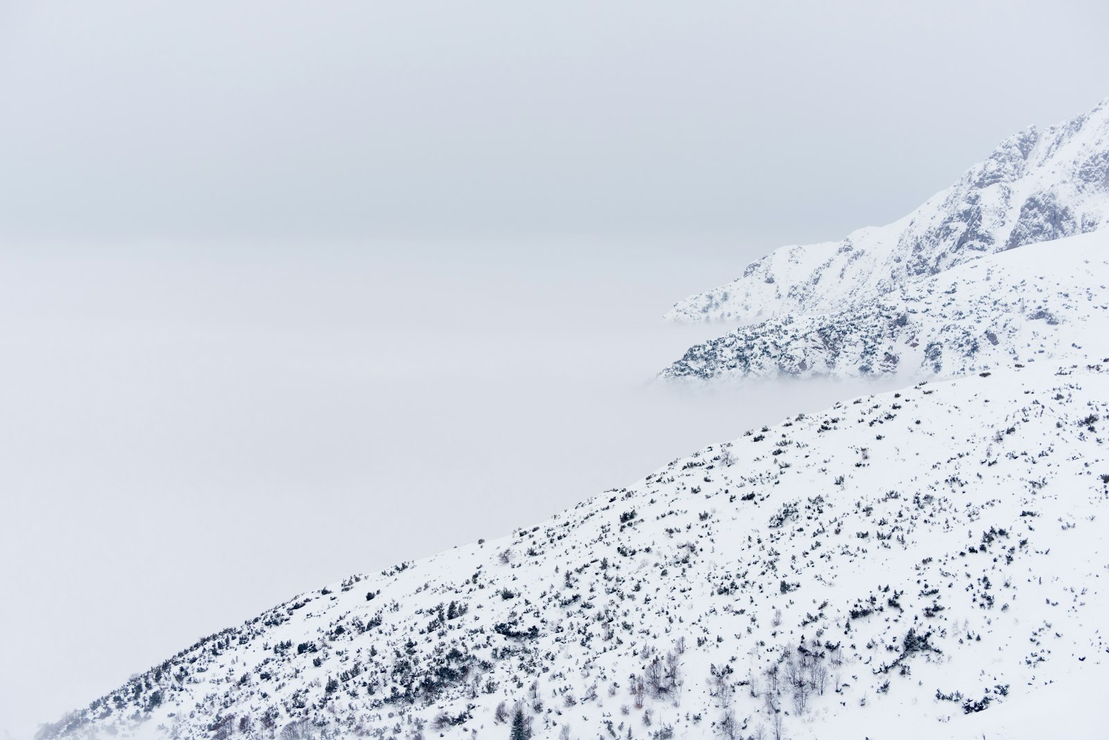 Nikon D750 + Nikon AF-S Nikkor 70-300mm F4.5-5.6G VR sample photo. Mountain hill covered with photography