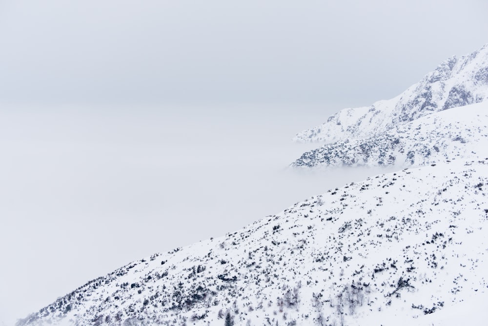 mountain hill covered with snow